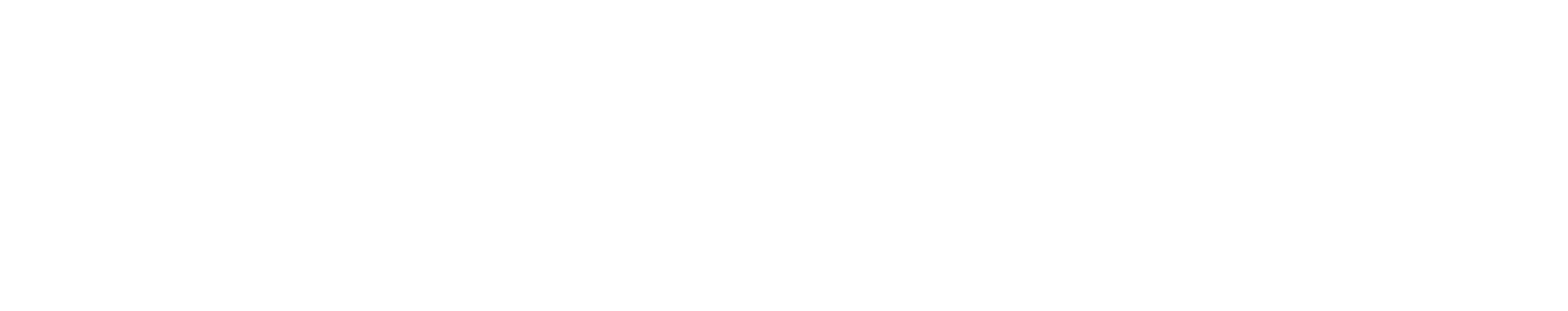 Envizia-Wordmark-Logo-White Envizia wordmark logo